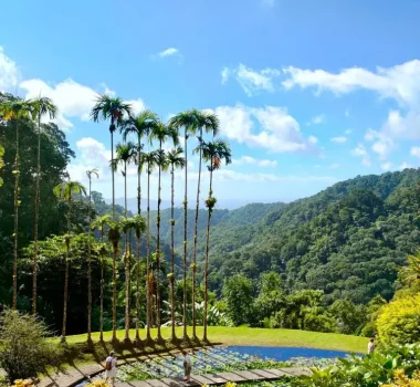 Jardin de balata
