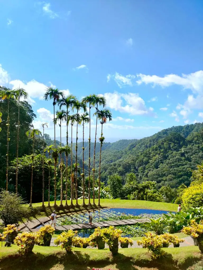 Jardin de balata