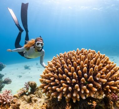 plongée sous marine