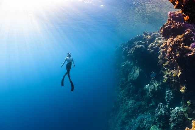 plongée sous marine