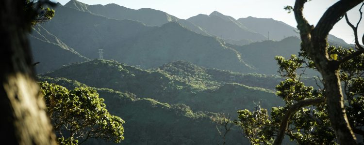 montagne