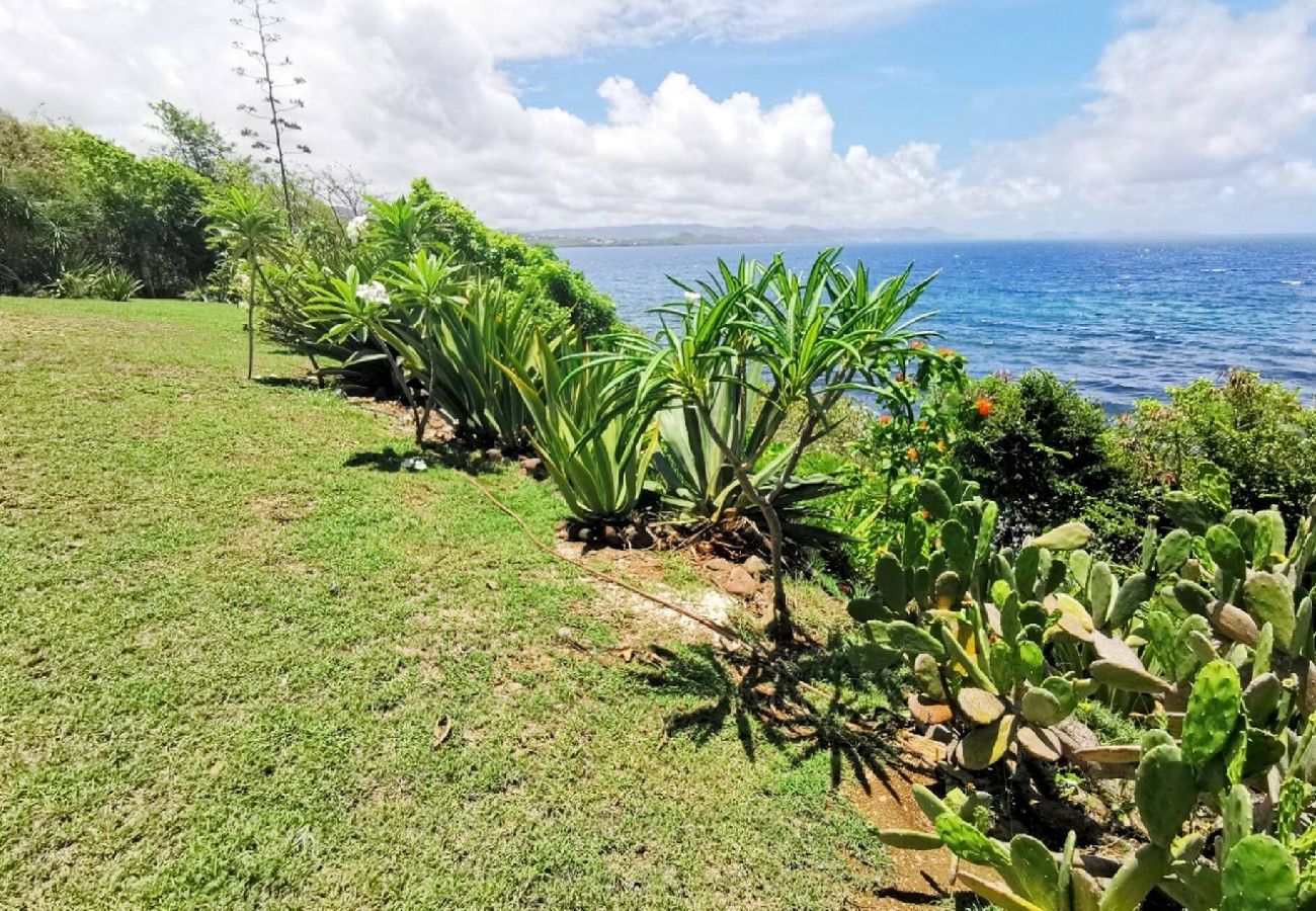 Villa in Le Diamant - Villa de standing au Diamant Ref M160 4 chambres v