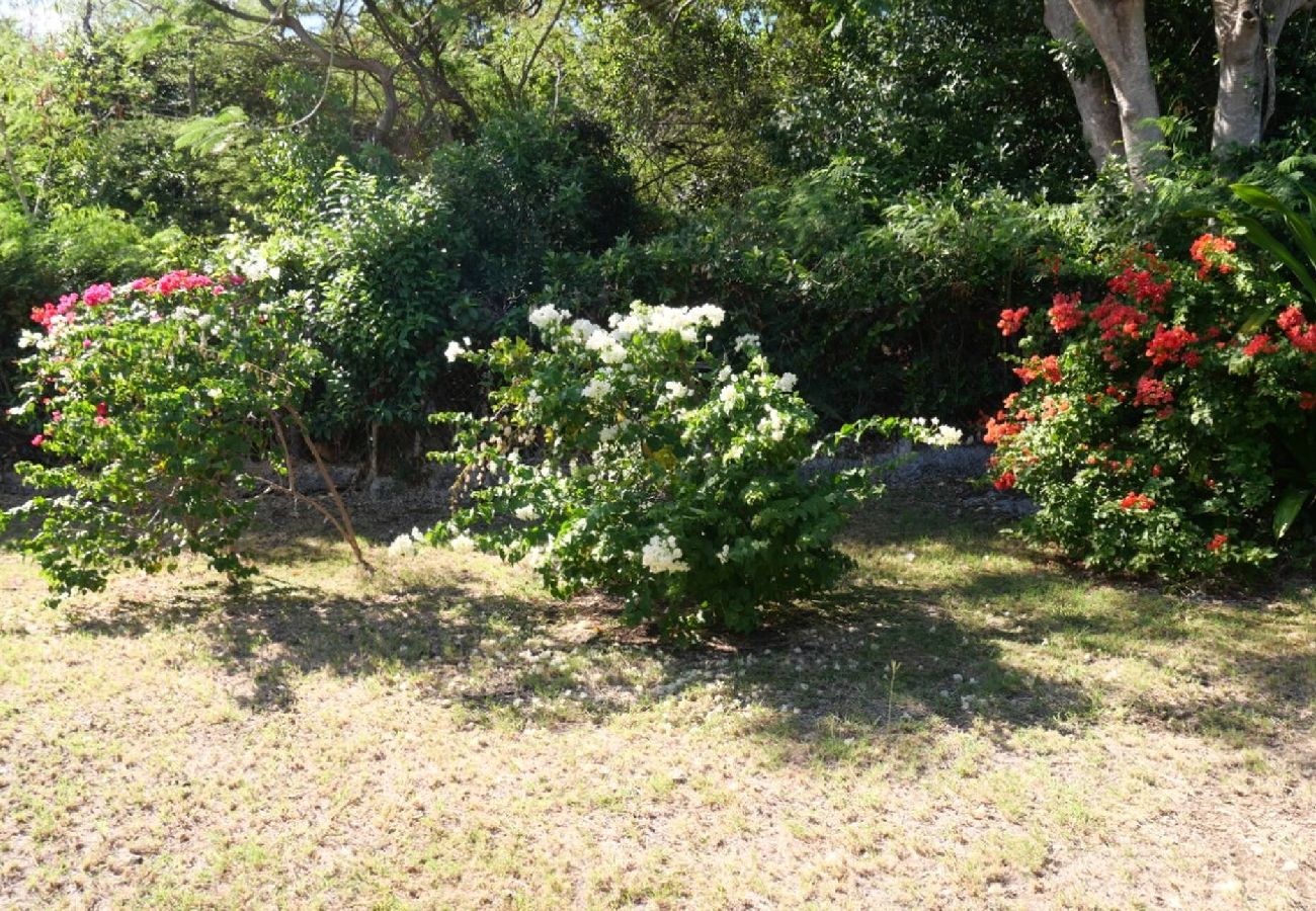 Villa in Saint-François - Villa à Saint François G038 2 chambres piscine