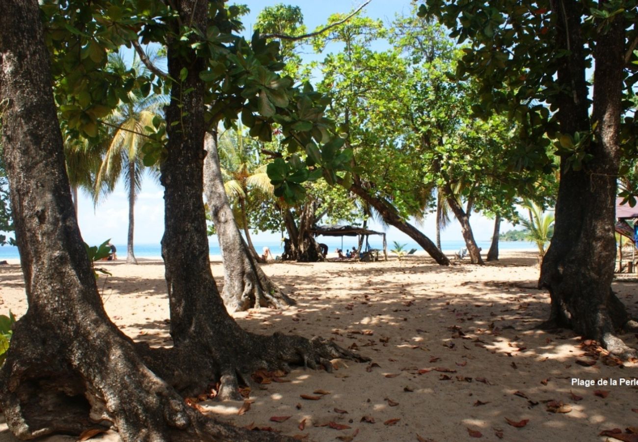 Villa in Deshaies - Villa à Deshaies G166A vue mer 3ch piscine