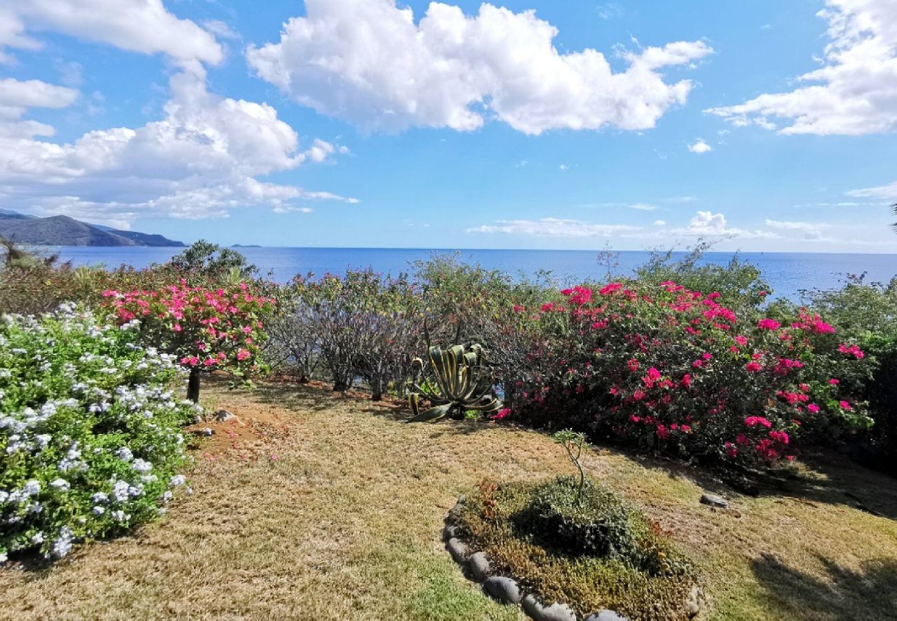 Villa in Pointe-Noire - Villa à Pointe Noire G187D vue mer 12 pers piscine
