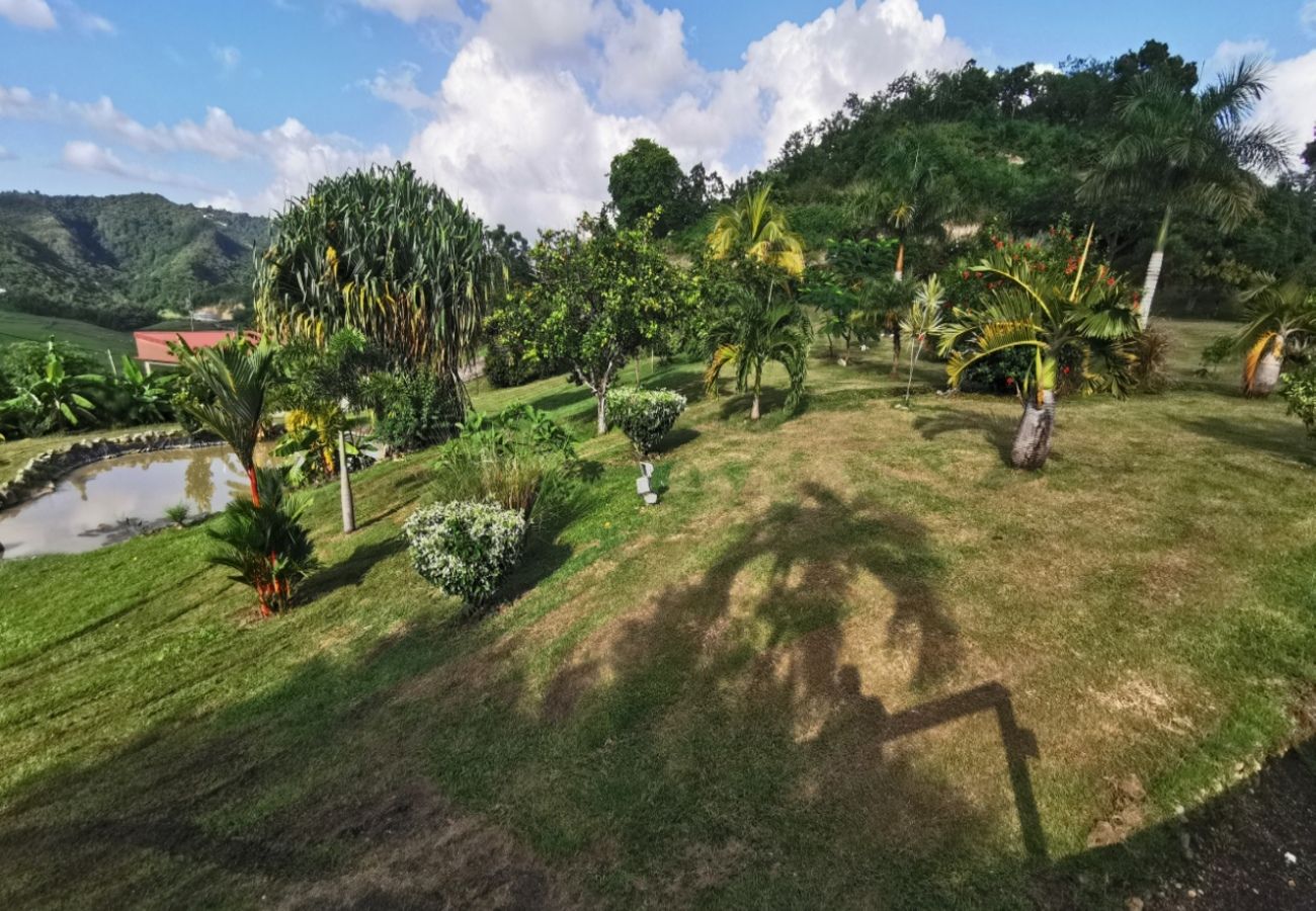 Villa in Le Marin - Villa au Marin en Martinique - Ref : M038
