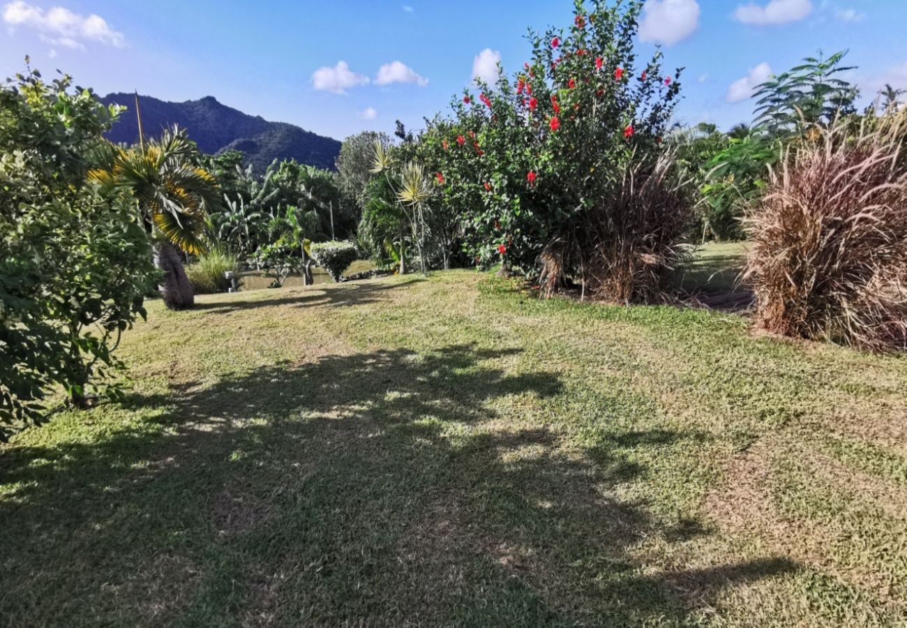 Villa in Le Marin - Villa au Marin en Martinique - Ref : M038