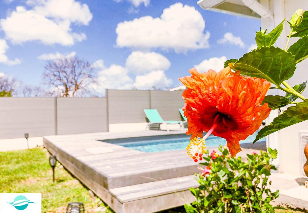 Villa in Le Diamant - Villa 3 chambres avec piscine au Diamant M136