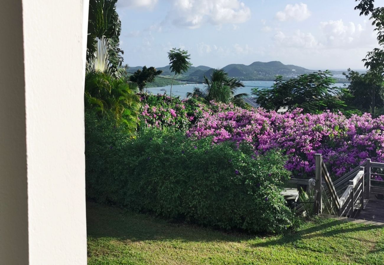 Villa in Le Marin - Villa au Marin en Martinique - Ref : M081