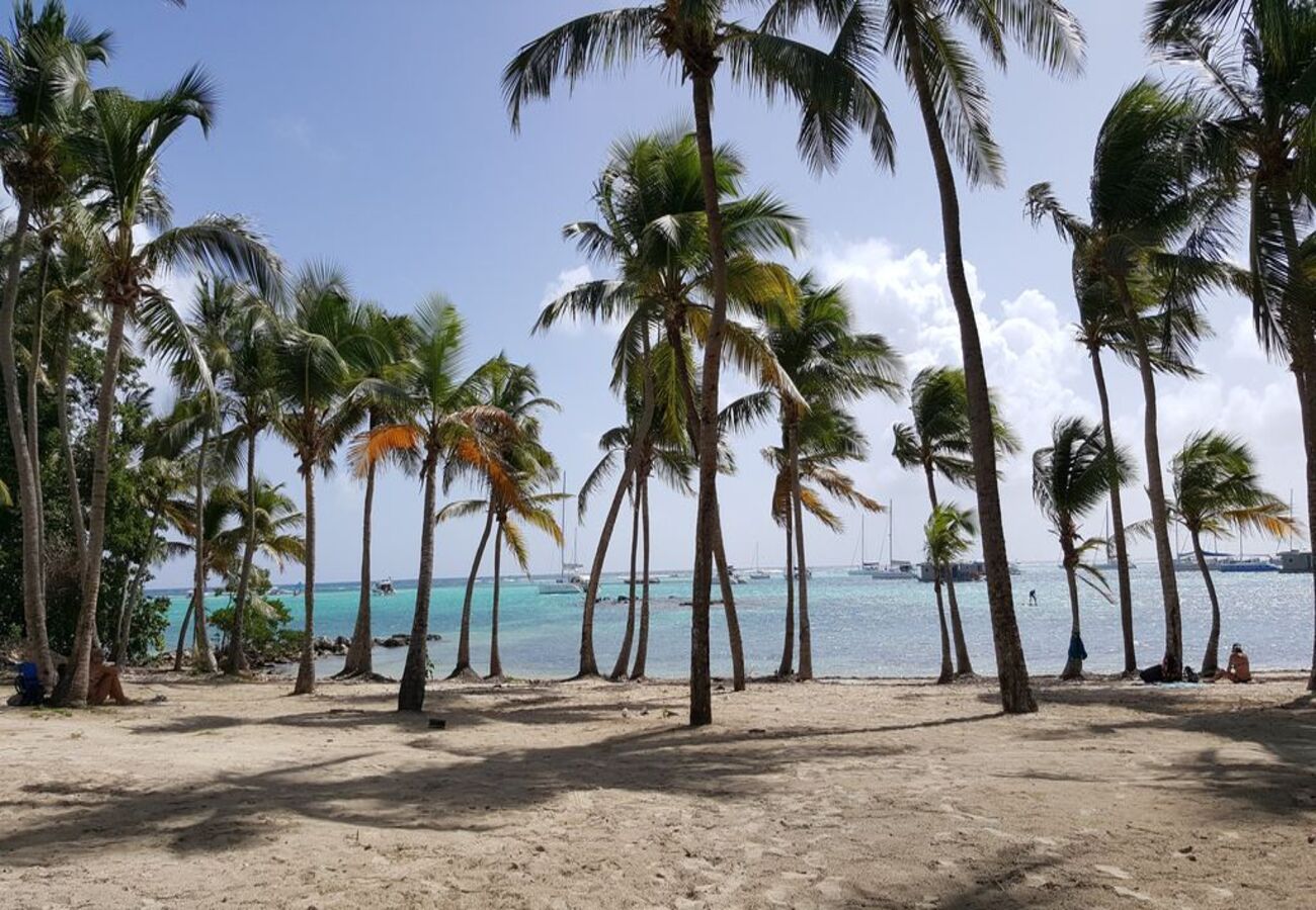 Villa in Saint-François - Villa à Saint François en Guadeloupe - Ref : G061