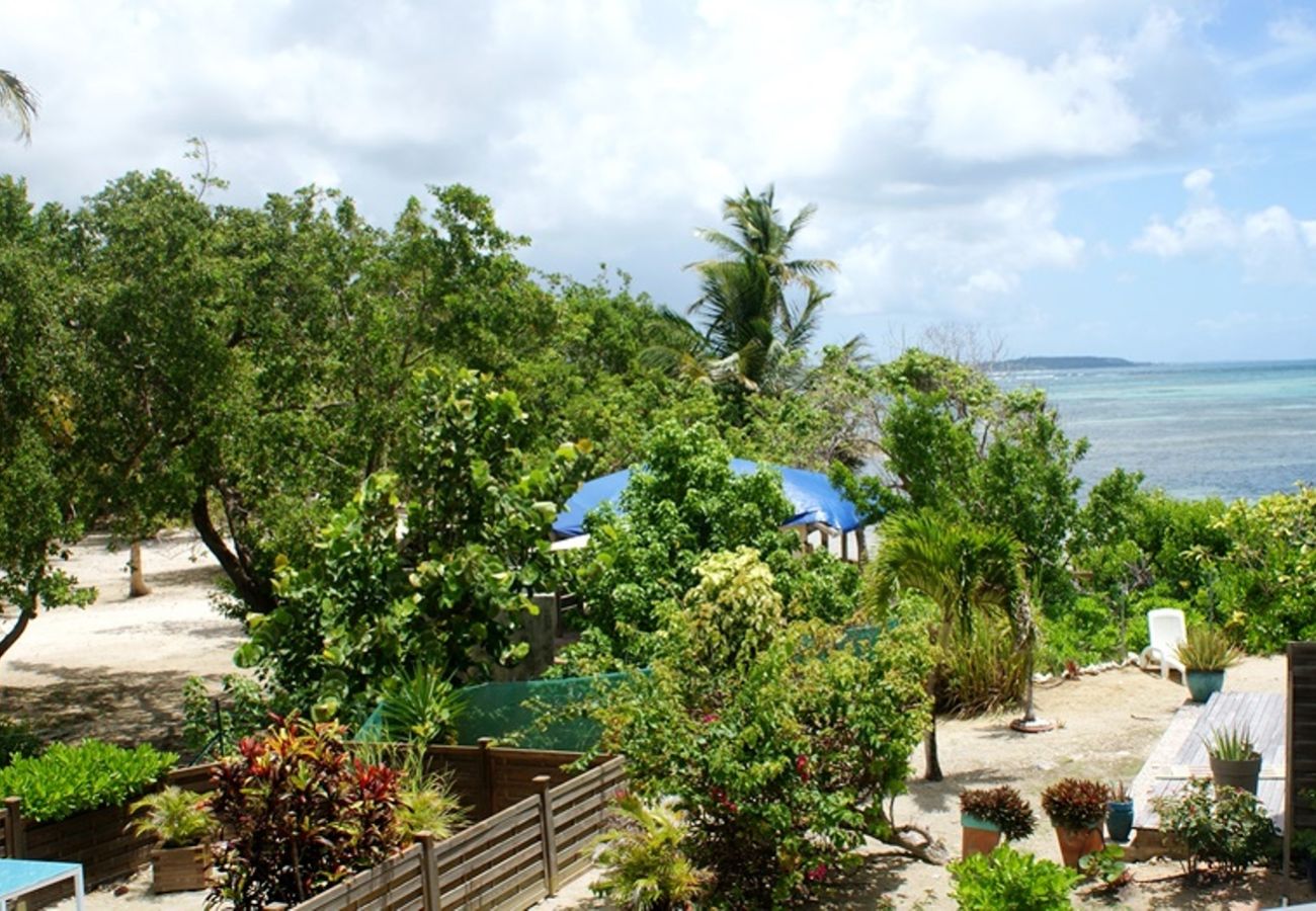 Apartment in Sainte-Anne - Résidence à Ste Anne Guadeloupe - Ref : HG024