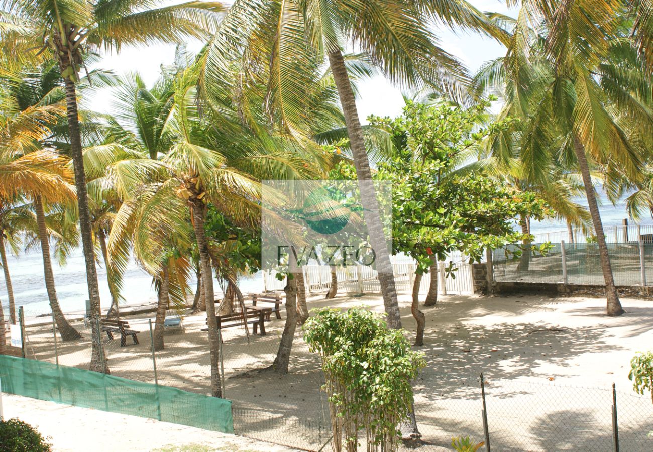 Apartment in Sainte-Anne - Résidence à Ste Anne Guadeloupe - Ref : HG027