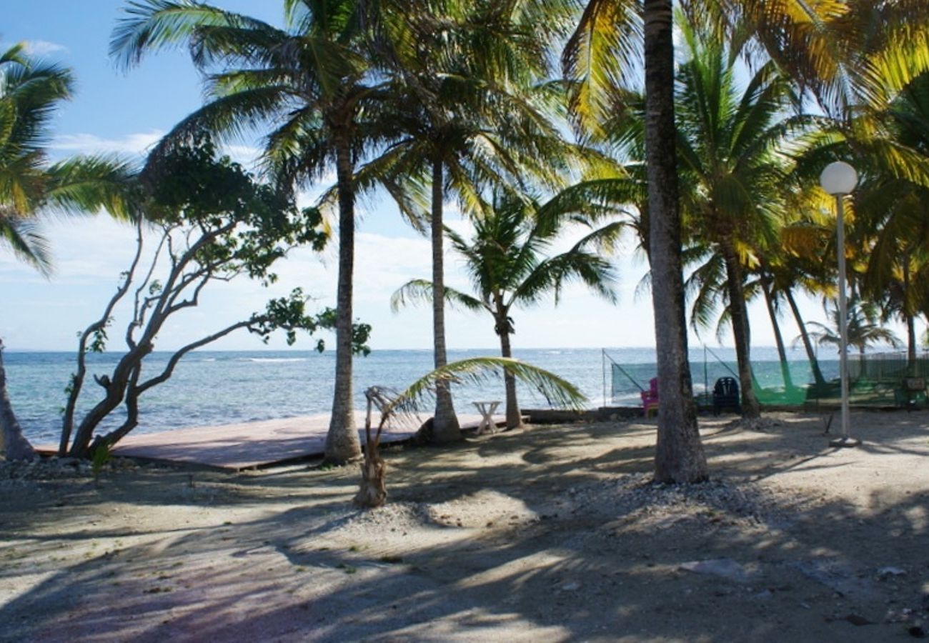 Apartment in Sainte-Anne - Résidence à Ste Anne Guadeloupe - Ref : HG027