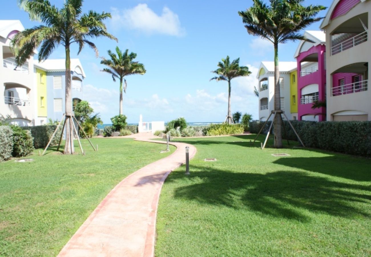 Apartment in Sainte-Anne - Appartement à Ste Anne Guadeloupe - Ref : HG096