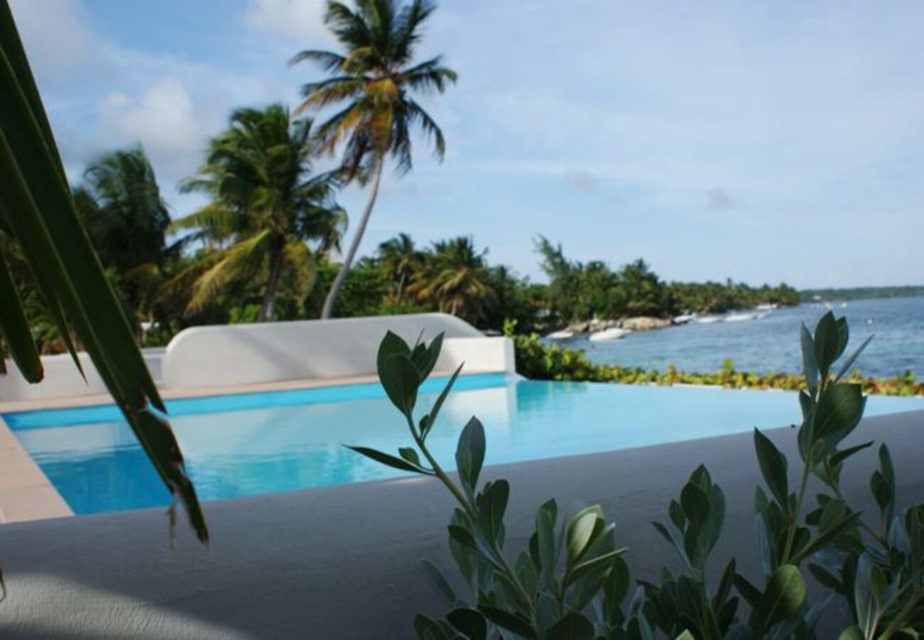 Apartment in Sainte-Anne - Appartement à Ste Anne Guadeloupe - Ref : HG096