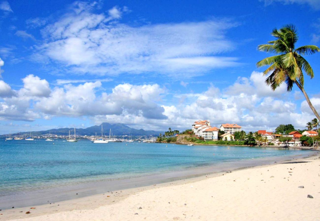 Apartment in Les Trois-Ilets - T4 Maracuja Trois ilets Vue Mer M364