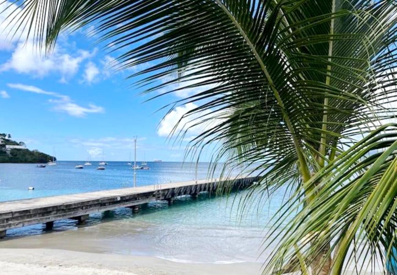 Villa in Les Trois-Ilets - Villa aux Trois Ilets ref M103