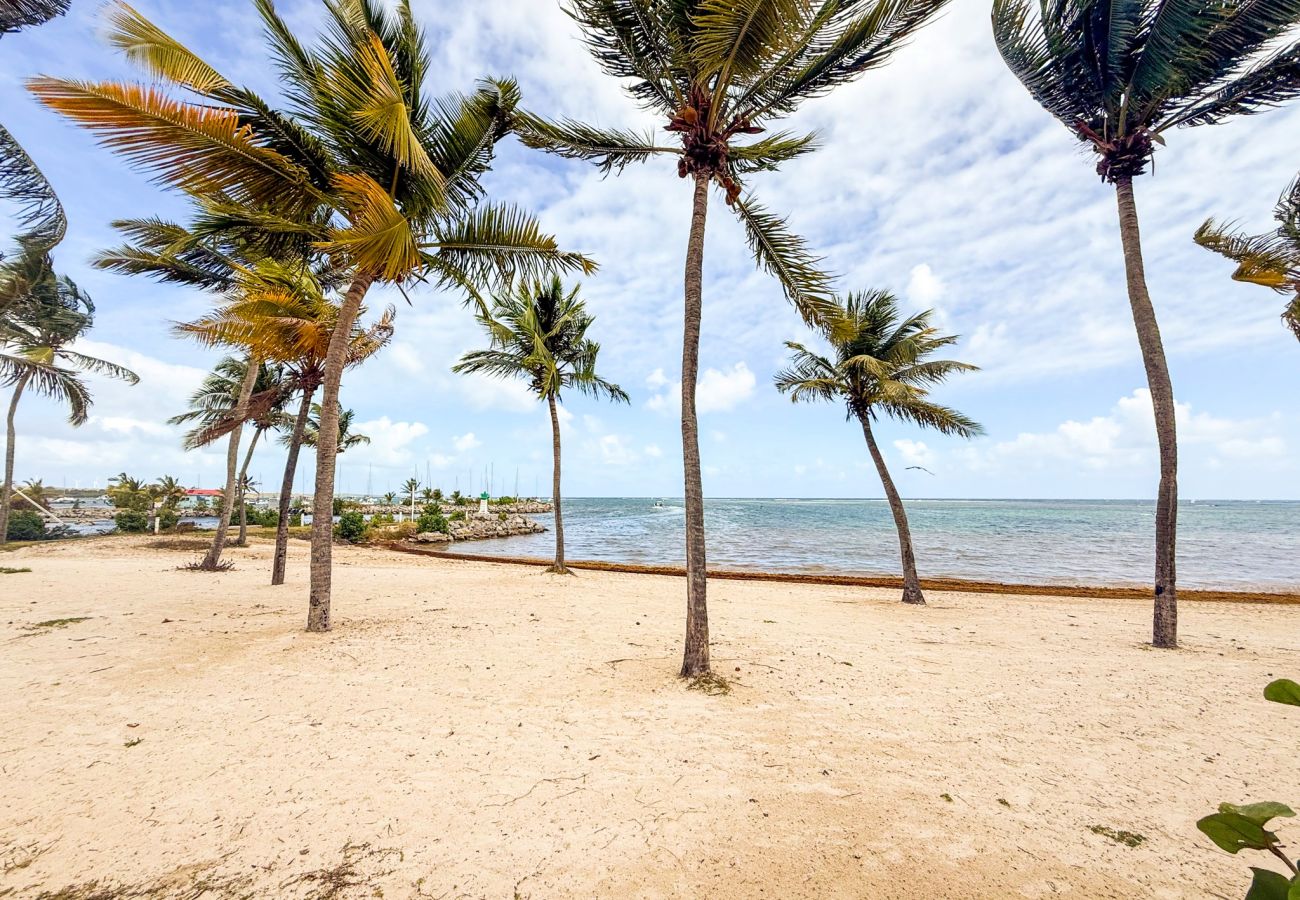 Apartment in Saint-François - T3 Savannah à Saint François ref GEA004