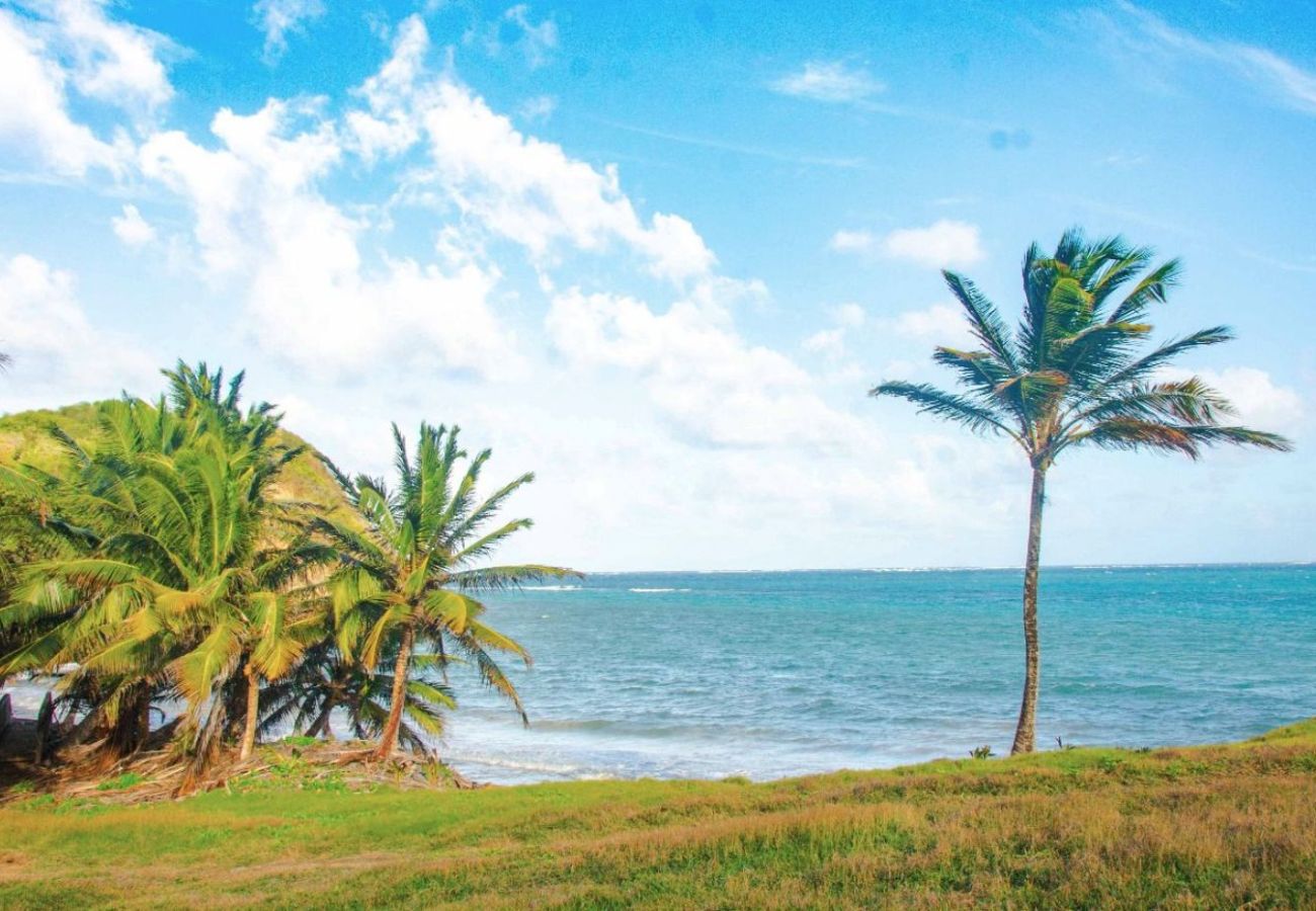 Villa in Le Vauclin - Villa Mora Mora au Vauclin Ref M034