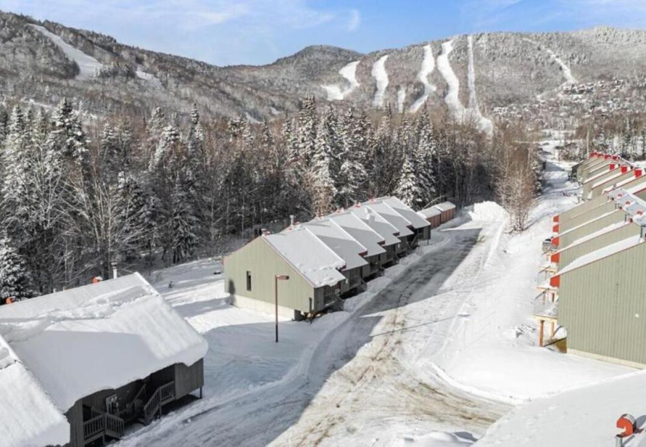 Chalet in Charlevoix-Est - CAN013 -  L'Adirondacks