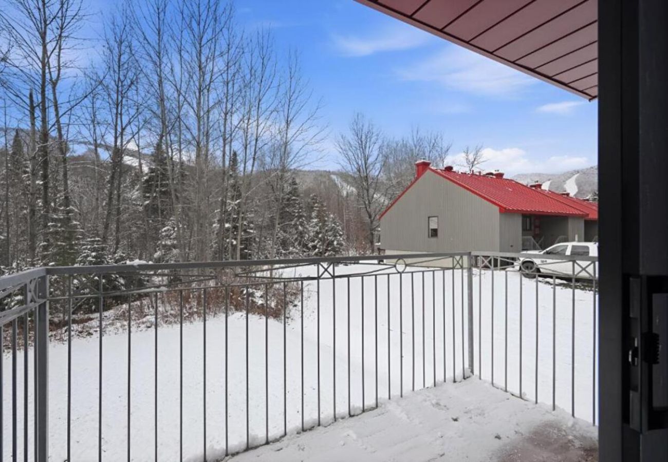 House in Laval - CAN018 : Refuge des pentes