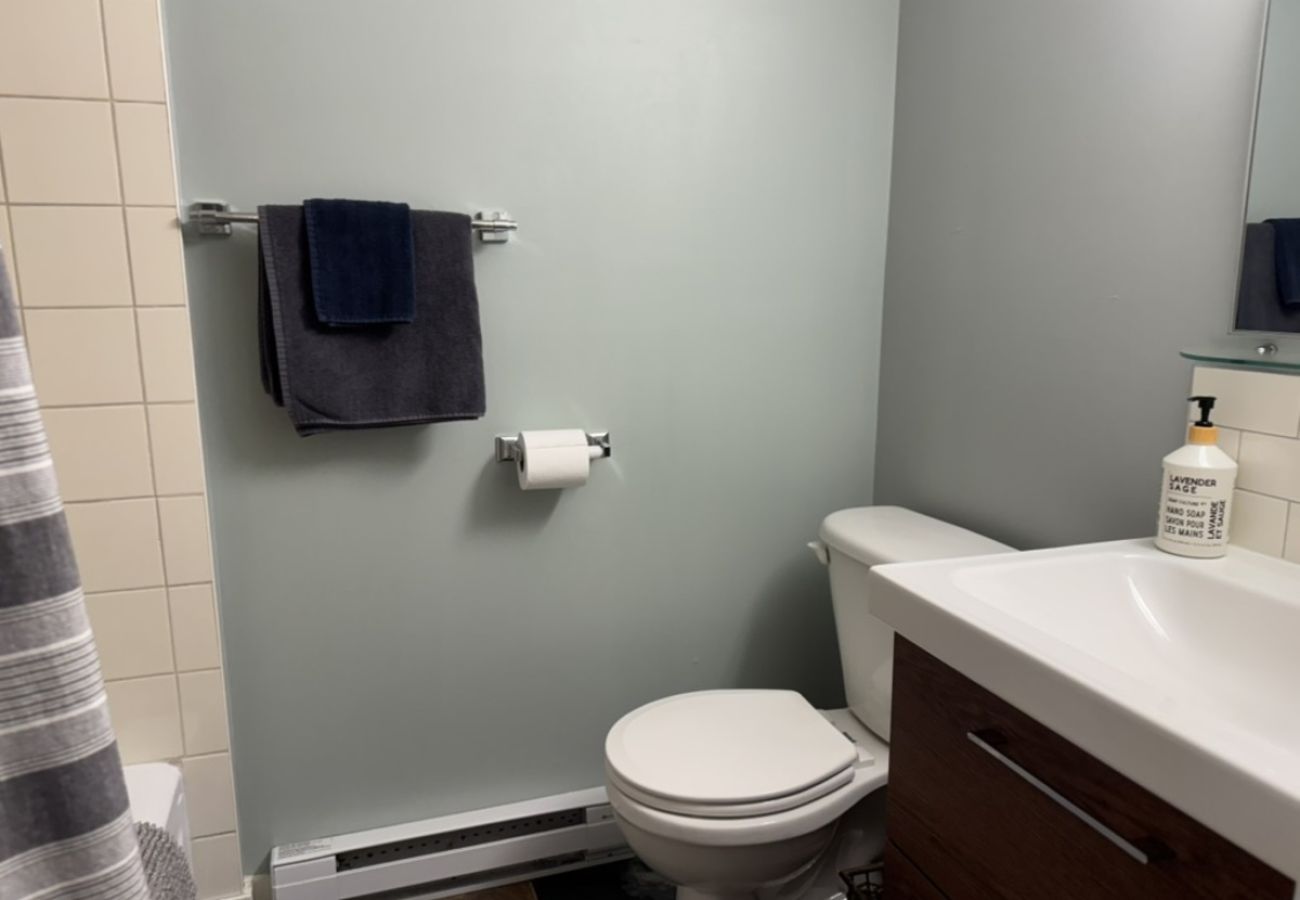 Apartment in L'Assomption - CAN024 : L'Obleu