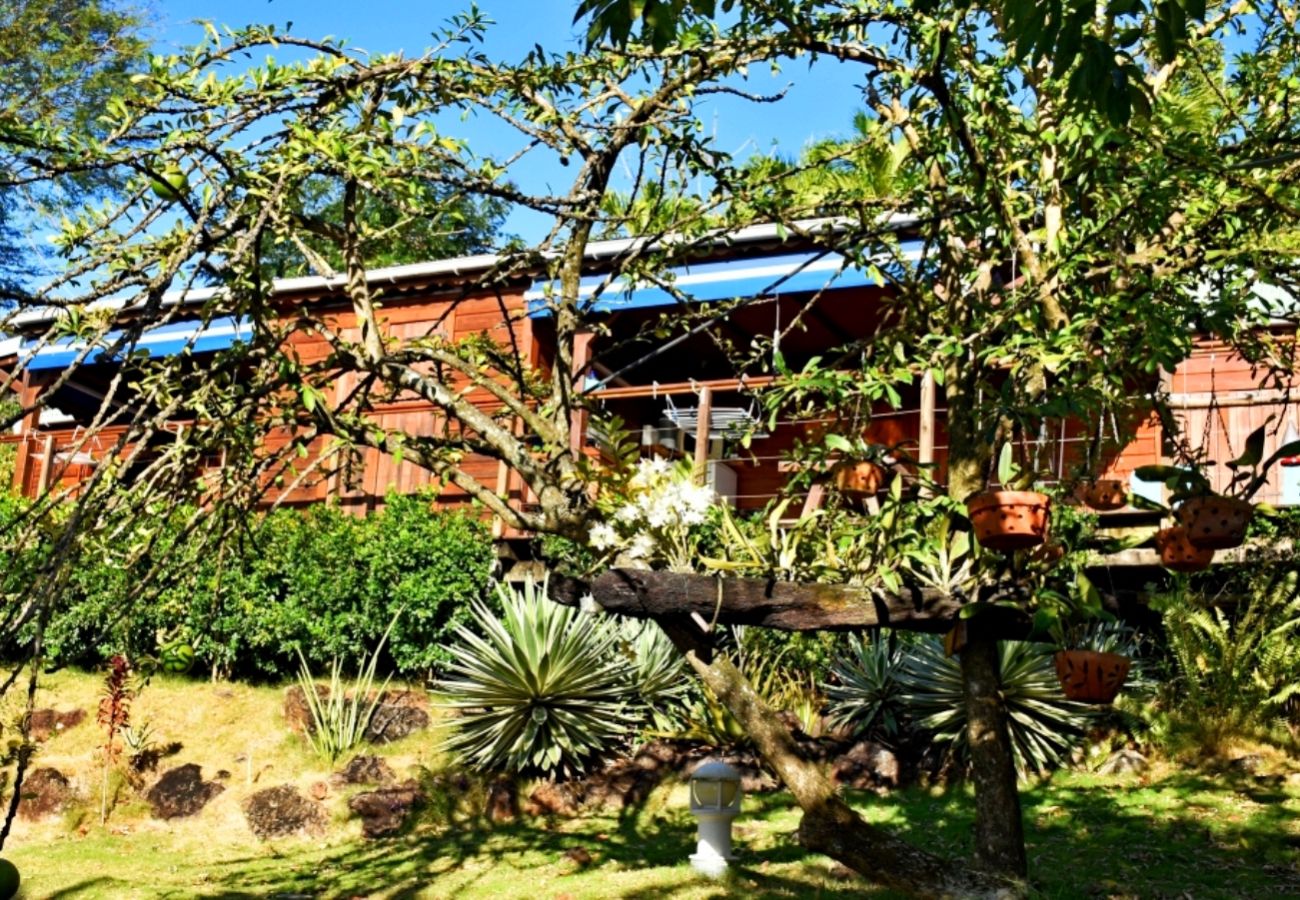 Bungalow in Deshaies - Gite Bleu Outremer 1 à Deshaies ref GEA005