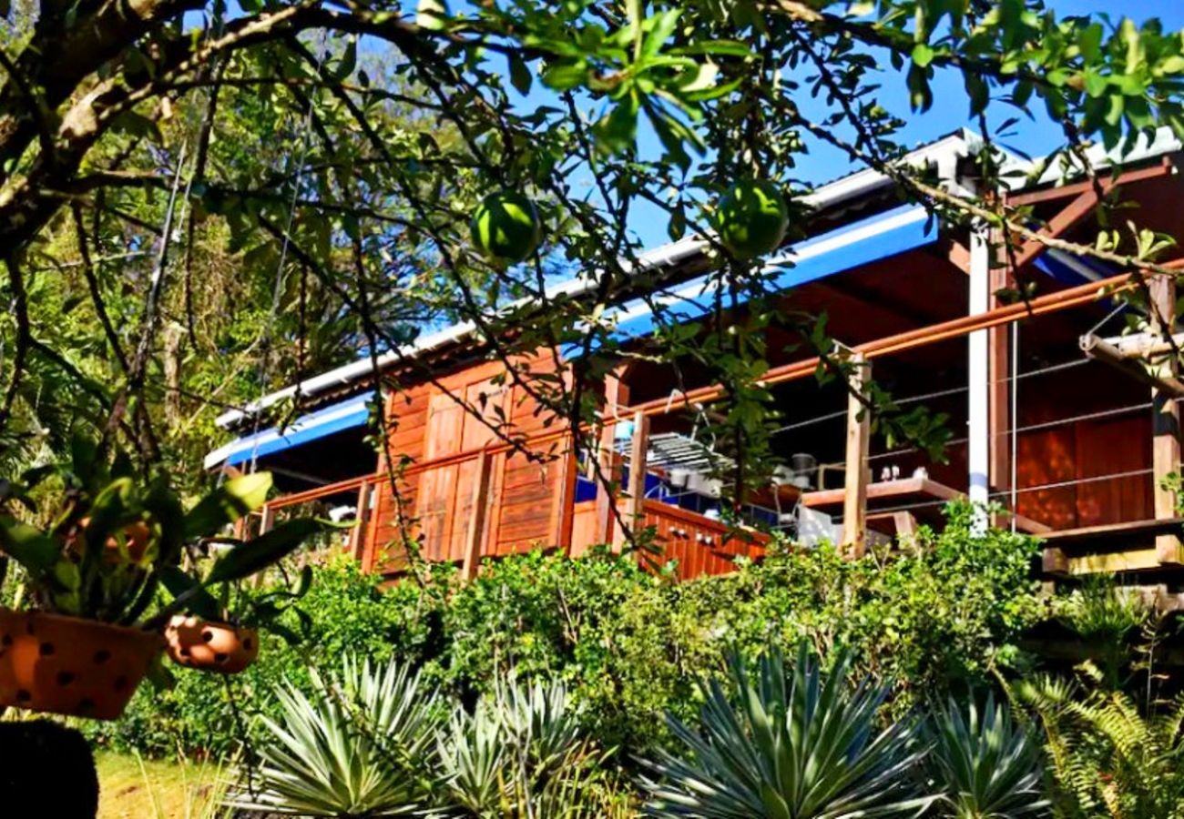 Bungalow in Deshaies - Gite Bleu Outremer 2 à Deshaies ref GEA006