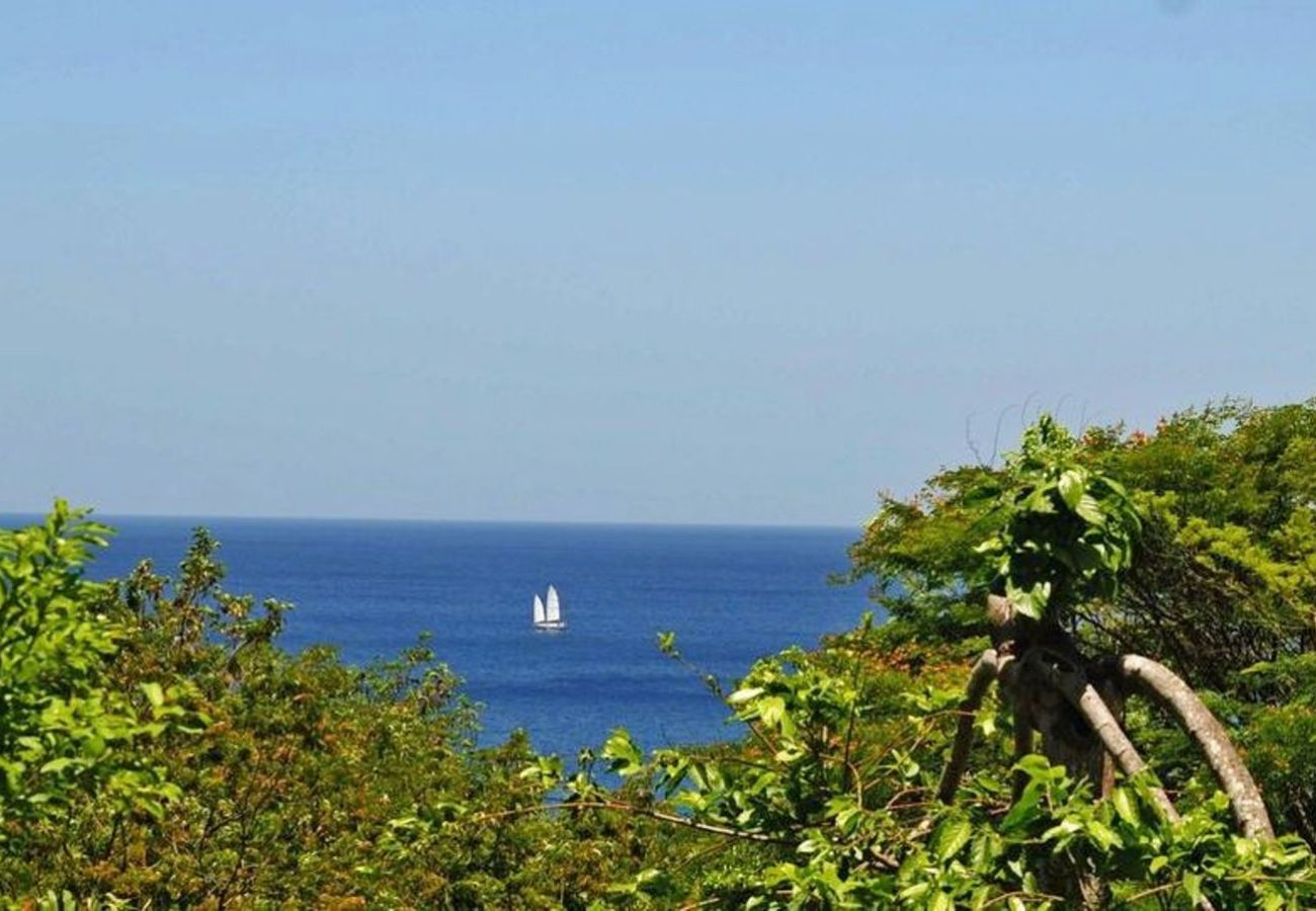 Bungalow in Deshaies - Gite Bleu Outremer 2 à Deshaies ref GEA006