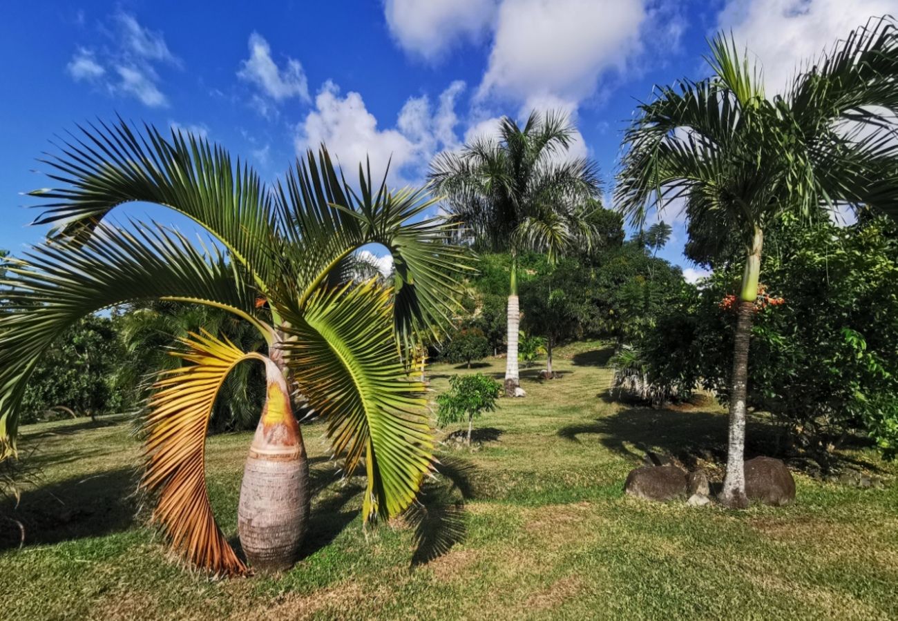 Villa à Le Marin - Villa au Marin en Martinique - Ref : M038