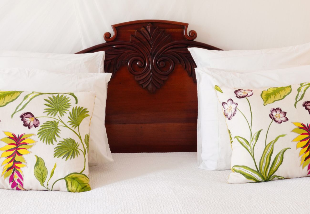 Studio à Saint Barthélemy - Chambre Colibri - Saint-Barthélemy - SB005B