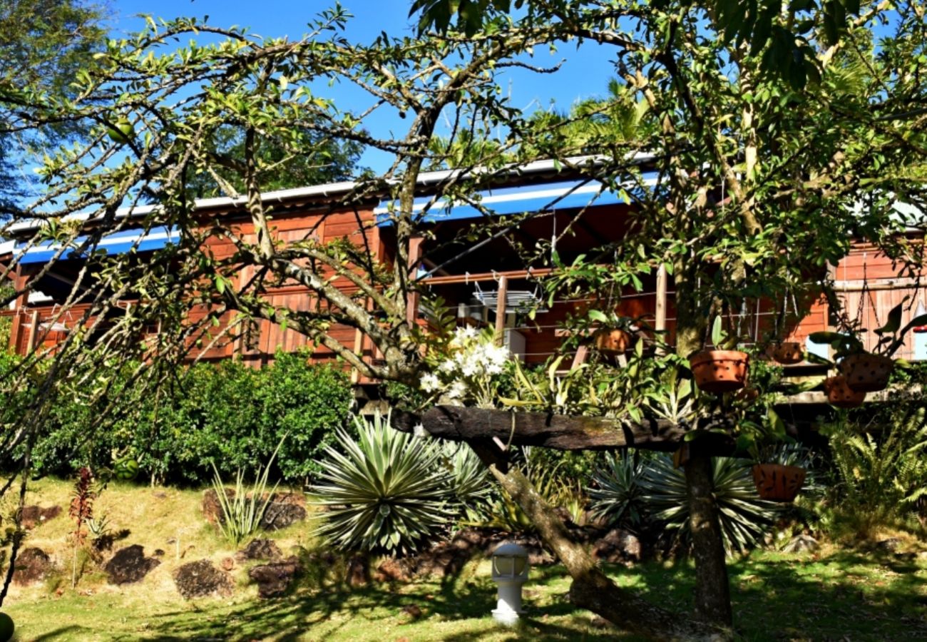 Bungalow à Deshaies - Gite Bleu Outremer 2 à Deshaies ref GEA006
