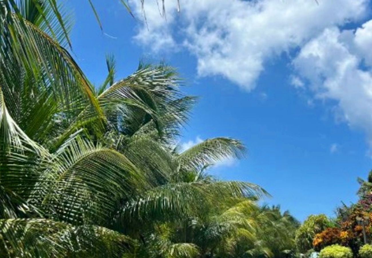 Villa à Saint-François - Villa à Saint-François ref G174